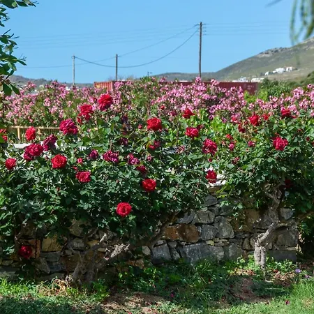 Διαμέρισμα Golden Glyfada Kastrákion