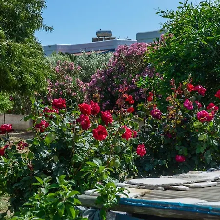 Golden Glyfada Apartman